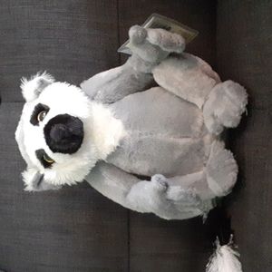 Webkinz Ringtailed Lemur